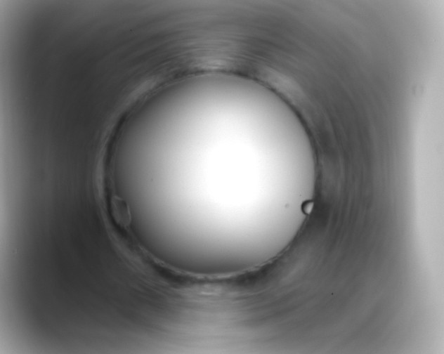 X0000088490482200706051421