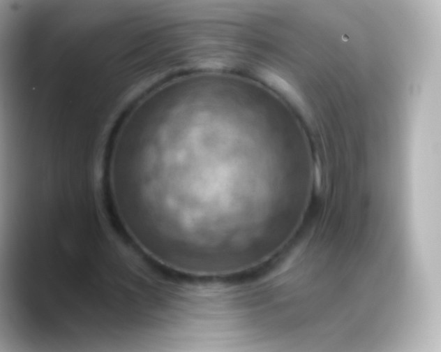 X0000088490483200706051421