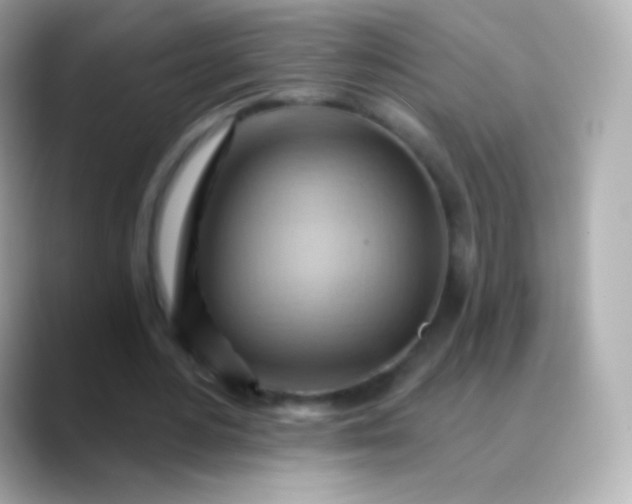 X0000088490484200706051421