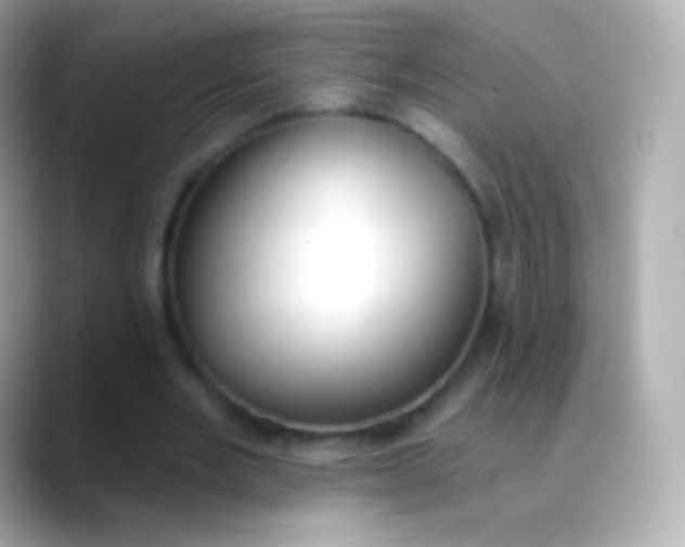 X0000088490485200706051421