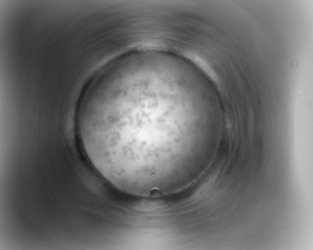 X0000088490487200706051421