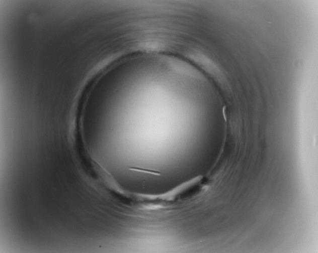 X0000088490488200706051421