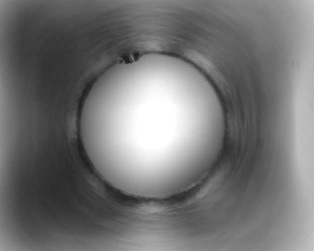 X0000088490489200706051421