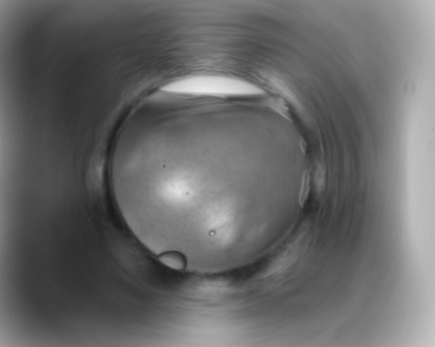 X0000088490491200706051421