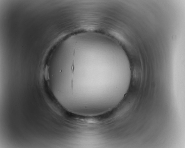 X0000088490492200706051421