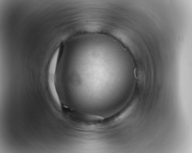 X0000088490493200706051421