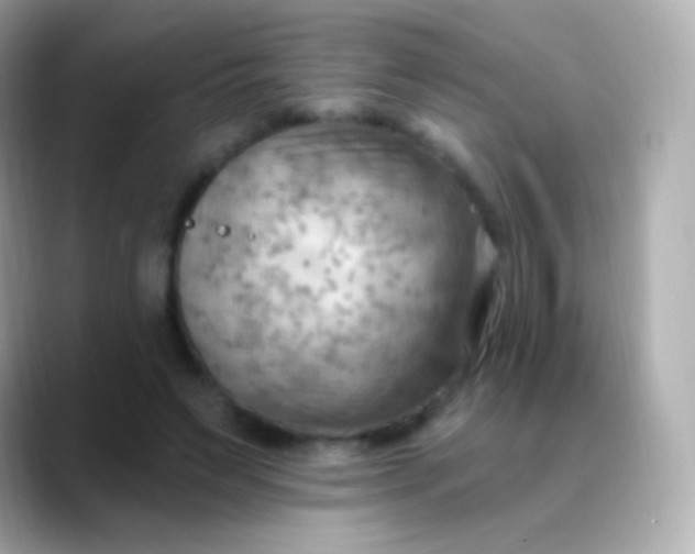 X0000088490495200706051421