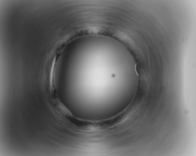 X0000088490496200706051421