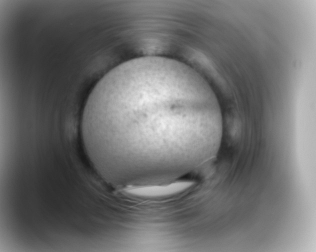 X0000088490499200706051421