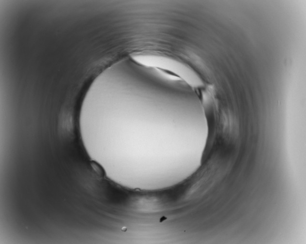 X0000088490500200706051421