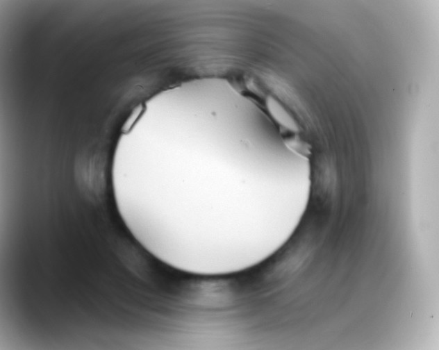 X0000088490501200706051421