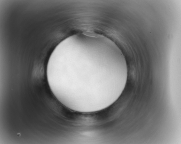 X0000088490502200706051421