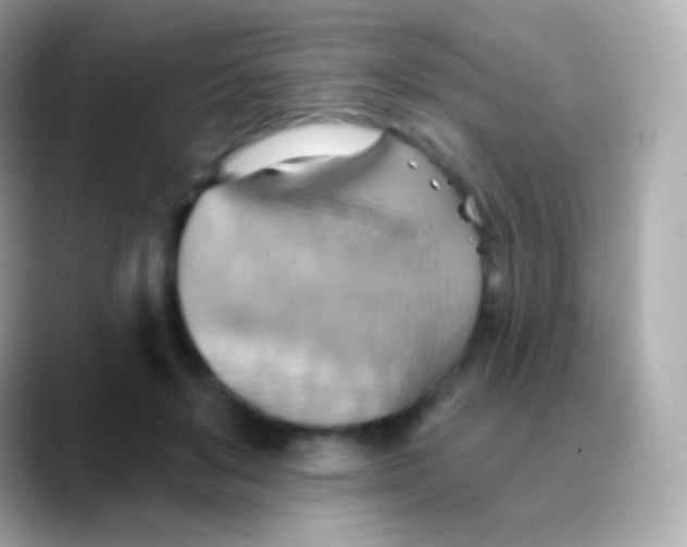 X0000088490503200706051421