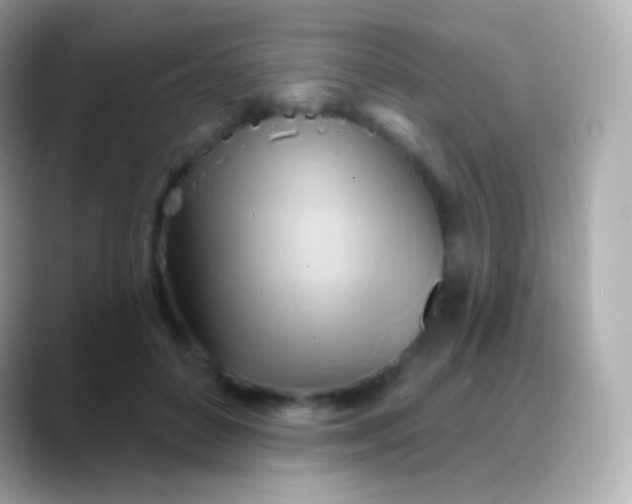 X0000088490504200706051421