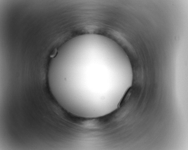 X0000088490505200706051421