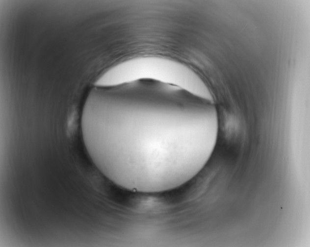 X0000088490507200706051421