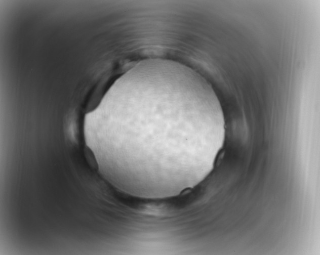 X0000088490508200706051421