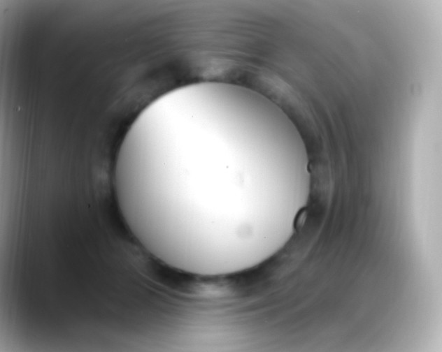 X0000088490510200706051421