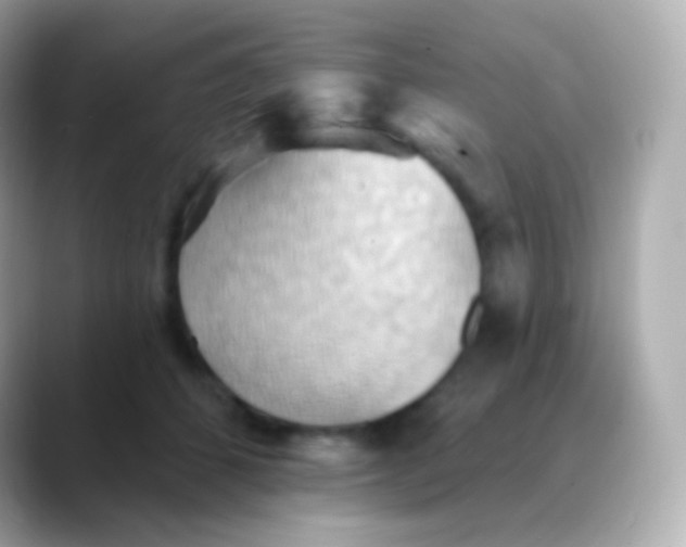 X0000088490512200706051420