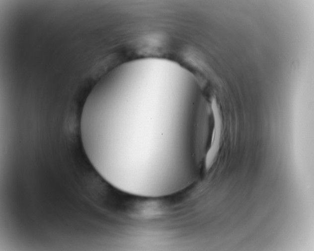 X0000088490513200706051420