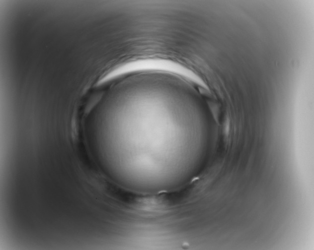 X0000088490516200706051420