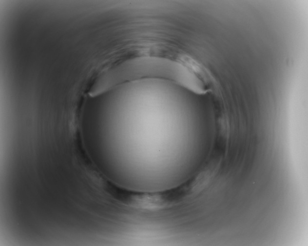 X0000088490517200706051420