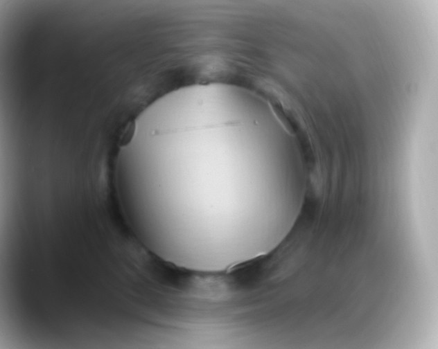 X0000088490520200706051420