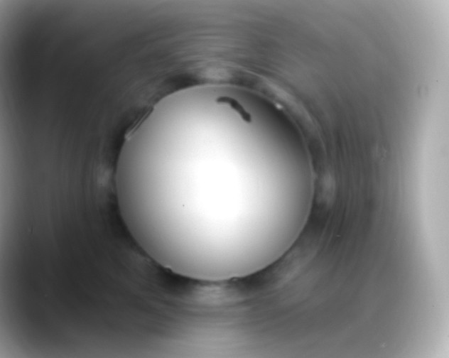 X0000088490521200706051420