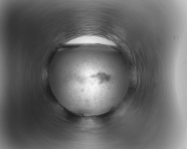 X0000088490523200706051420