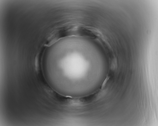 X0000088490524200706051420