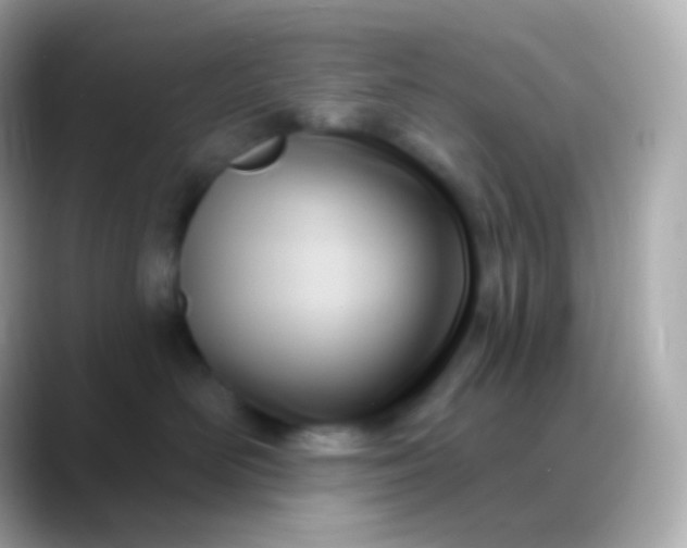 X0000088490526200706051420