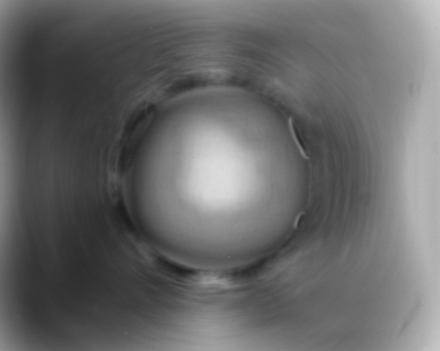 X0000088490528200706051420