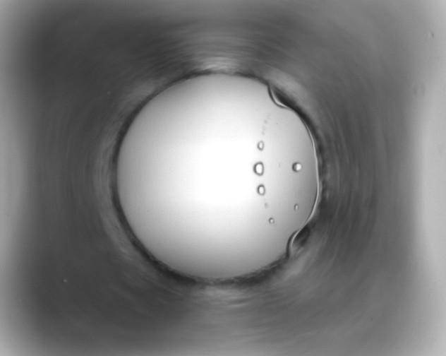 X0000088490529200706051420