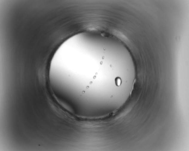 X0000088490530200706051420