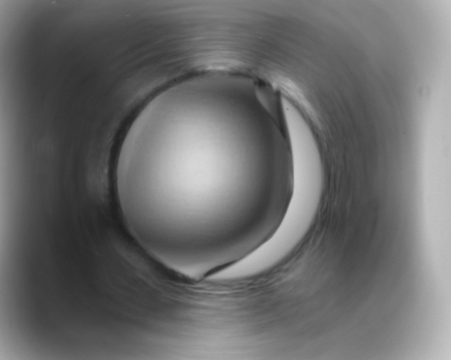 X0000088490531200706051420