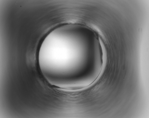 X0000088490532200706051420