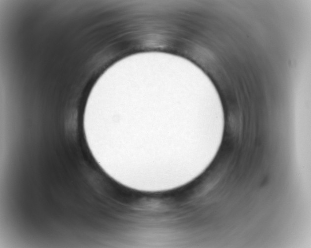 X0000088490534200706051420