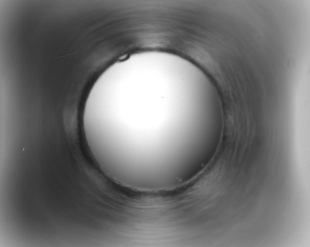 X0000088490535200706051420