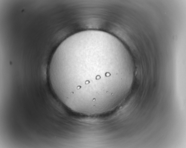 X0000088490537200706051420