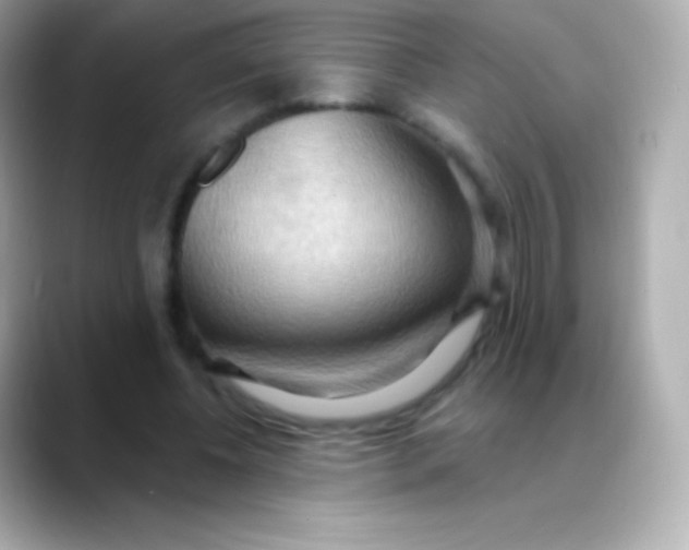 X0000088490540200706051420