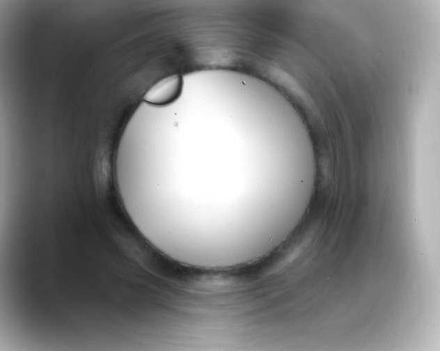 X0000088490541200706051420