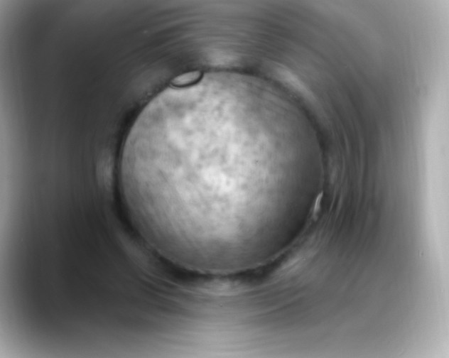 X0000088490542200706051420