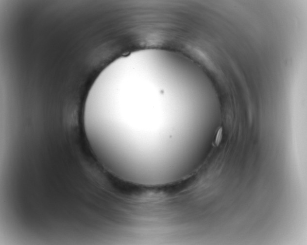 X0000088490543200706051420