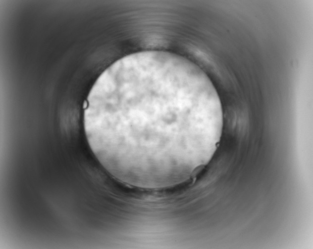 X0000088490550200706051420