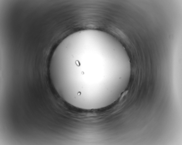 X0000088490552200706051420