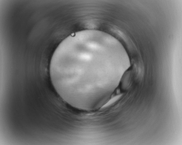 X0000088490553200706051420