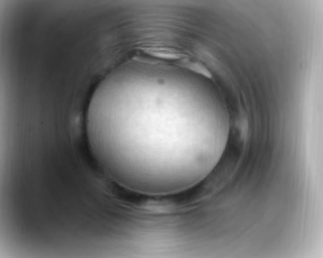 X0000088490556200706051420