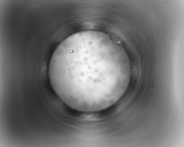 X0000088490557200706051420