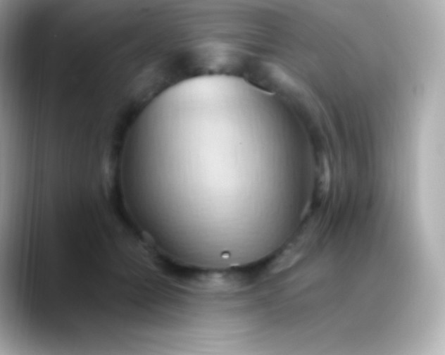 X0000088490558200706051420