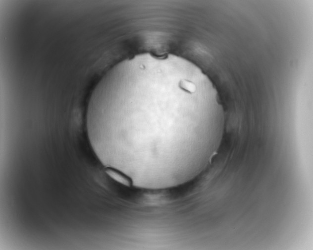 X0000088490560200706051420